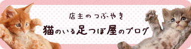 店主のつぶやき 猫のいる足つぼ屋のブログ